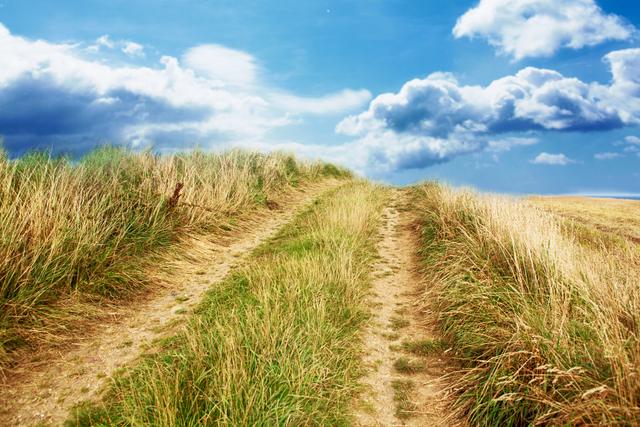 Transparent Blue Sky Over Sandy Dunes and Grassy Pathway Leading Away - Download Free Stock Videos Pikwizard.com