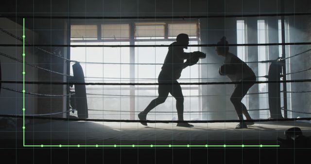 Silhouetted Boxers Sparring in Gym - Download Free Stock Images Pikwizard.com