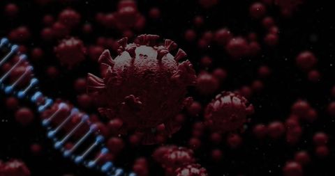 Coronavirus viruses with dna strands depicting virus genetics