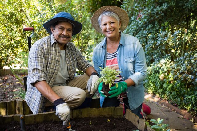 Senior couple enjoying gardening together, holding a sapling plant. Ideal for content related to gardening, outdoor activities, senior lifestyle, environmental conservation, and hobbies. Perfect for illustrating teamwork, happiness, and healthy living in retirement.