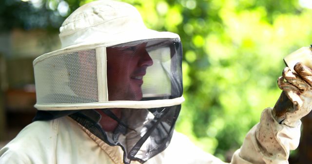 Beekeeper Examining Bee Colony in Protective Suit - Download Free Stock Images Pikwizard.com