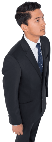 Biracial Businessman in Formal Suit with Transparent Background - Download Free Stock Videos Pikwizard.com