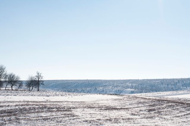 Panorama of flat snow-covered field with a few scattered trees in bright daylight. Ideal for promoting winter tourism, nature backgrounds, or seasonal content for blogs and social media.
