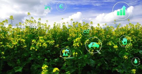 Sustainable Rapeseed Field with Environmental and Economic Icons