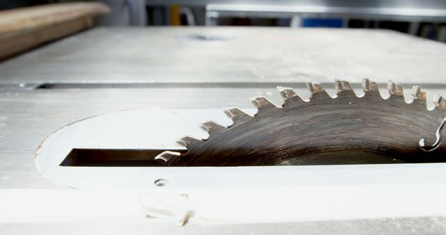 Close-up of Sharp Circular Table Saw Blade in Workshop - Download Free Stock Images Pikwizard.com