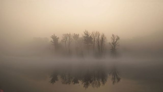 Misty dawn lake with silhouetted leafless trees reflecting on calm water
