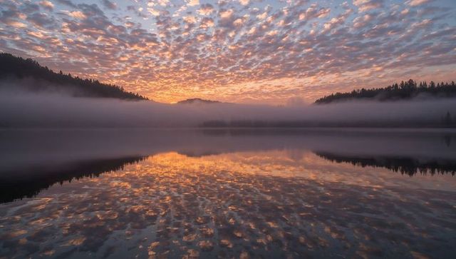 Golden-hour sunrise reflecting altocumulus cloudscape over misty pine lake mirror serene