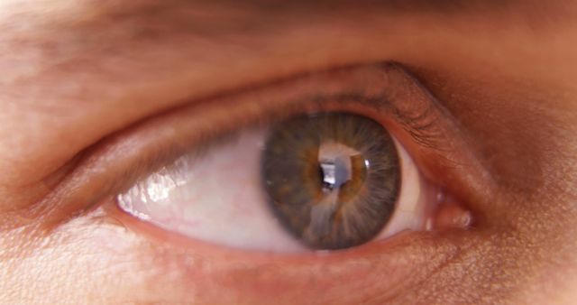 Shows a close-up of a brown eye, highlighting detail and reflections in the iris. Can be used in articles or advertisements related to vision, eye care, contact lenses, optometry, or other medical content.