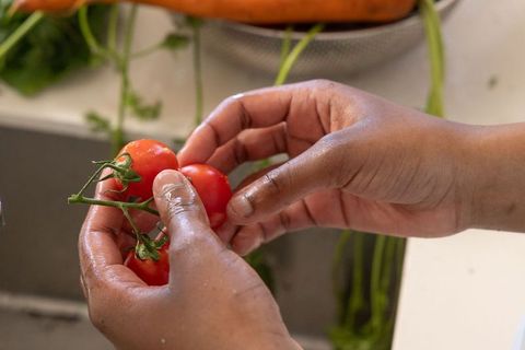 Hands rinsing vine tomatoes over kitchen sink closeup with fresh herbs and colander