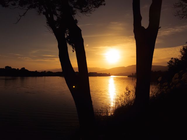 Sunset casts a warm, golden glow on calm lake waters. Silhouetted trees frame the scene, enhancing natural beauty. Ideal for use in travel brochures, nature documentaries, relaxation themes, inspirational posters, or screen savers focused on tranquility.