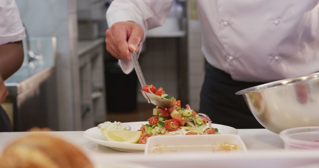 Chef Preparing Fresh Salad in Commercial Kitchen - Download Free Stock Images Pikwizard.com