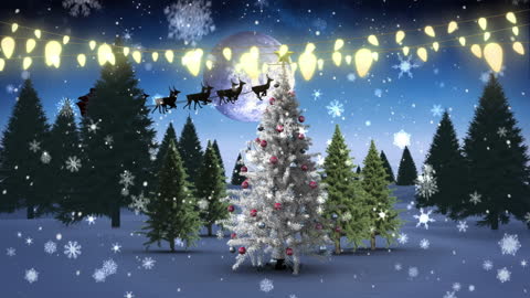Enchanting Christmas Tree Under Starry Winter Sky