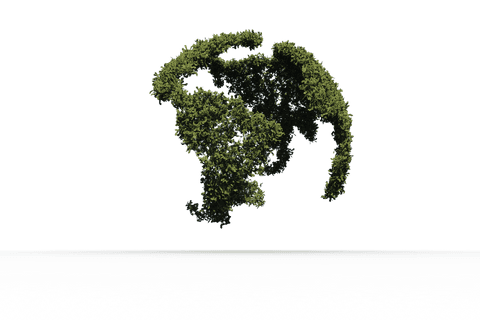transparent globe shaped with greenery - Download Free Stock Videos Pikwizard.com