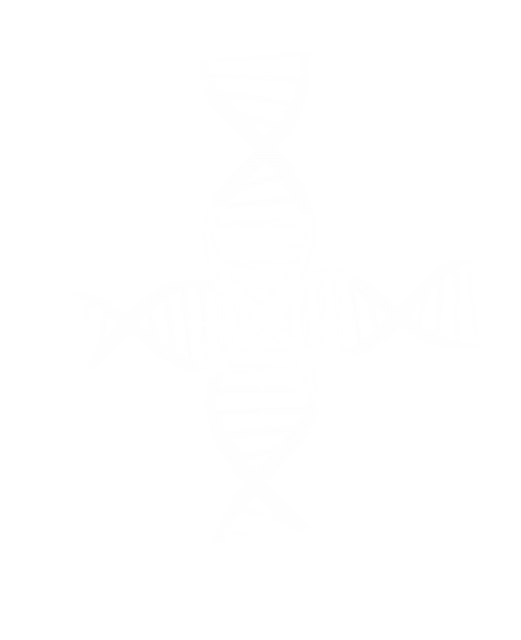 Transparent DNA Strands Illustration in Cross Shape - Download Free Stock Videos Pikwizard.com