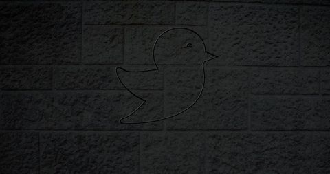 Neon Bird Icon Glowing on Dark Brick Wall