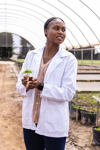 Female Botanist Analyzing Seedling in Modern Greenhouse