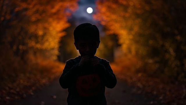 Silhouetted Child with Pumpkin Shirt in Mysterious Autumn Forest