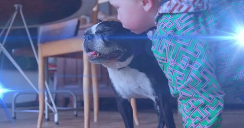 Toddler Affectionately Kissing Boston Terrier in Living Room