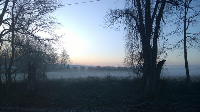 Bare trees and morning mist create a serene and tranquil atmosphere in this winter countryside scene. Ideal for promoting relaxation or nature-themed content, it captures the beauty of a cold morning at dawn.