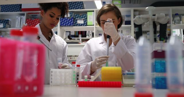 Focused diverse female students working in medical lab - Download Free Stock Photos Pikwizard.com