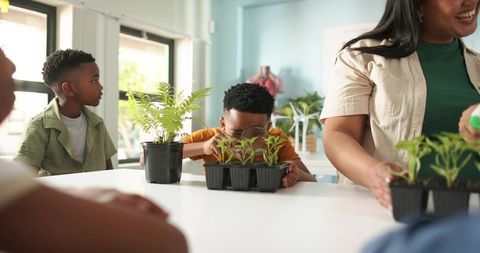 African american teacher guiding teens examining seedlings in classroom garden workshop