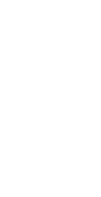 Female Archer Silhouette Holding Bow on Transparent Background - Download Free Stock Videos Pikwizard.com