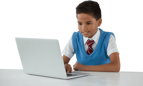 engaged schoolboy using laptop while sitting at desk with transparent background - Download Free Stock Videos Pikwizard.com