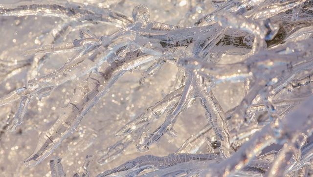 Glittering ice-coated branches and twigs with crystal icicle tips and sparkling bokeh