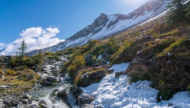 Alpine stream carving snow-covered slope with wildflowers and sunlit mountain ridge