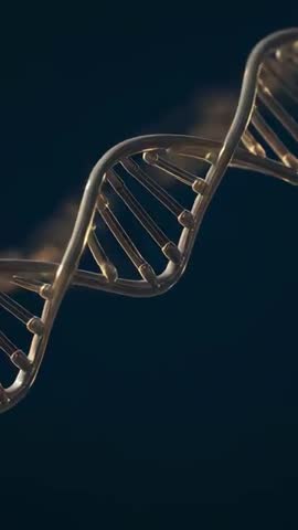 Rotating Gold DNA Helix Drifting on Dark Gradient Vertical Video for Biotech
