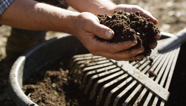 Sunlit hands holding fertile soil over compost tub with rake, garden composting closeup