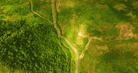 Aerial View of Lush Green Landscape with Winding Road Transparent Field