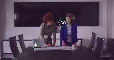 Business Meeting: Colleagues Analyzing Environmental Data