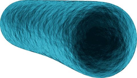 Transparent 3D Blue Rod-Shaped Bacteria Cell Illustration - Download Free Stock Videos Pikwizard.com