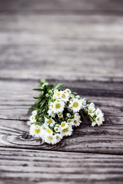 White Petal Flower Bouquet on Brown Wooden Surface - Download Free Stock Photos Pikwizard.com