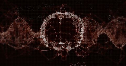 Digital Mathematical Data Visualized Around Human Brain - Download Free Stock Images Pikwizard.com