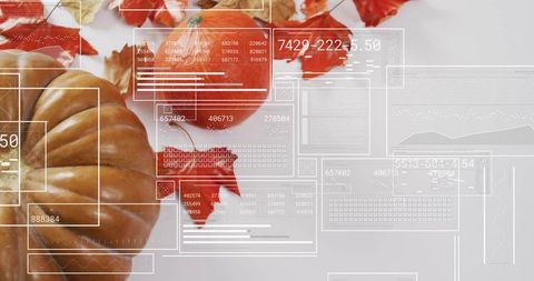 Tan Orange Pumpkins with Red Autumn Leaves and Transparent Tech Overlay for Autumn Design