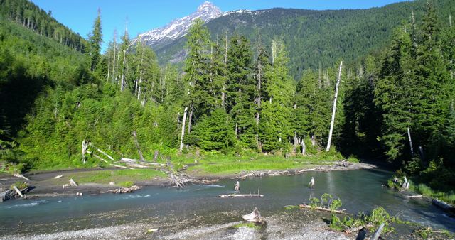 A serene river winds through a lush forest with a majestic mountain in the background, offering a tranquil natural landscape. This setting is ideal for outdoor enthusiasts and nature photographers seeking peace and inspiration.