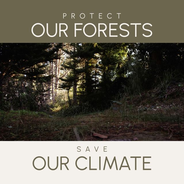 Protect Our Forests Save Our Climate Poster with Forest View - Download Free Stock Templates Pikwizard.com