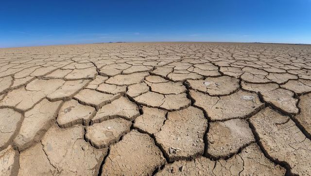 Cracked Dry Playa Stretching to Horizon Revealing Deep Fissures and Polygonal Plates Arid