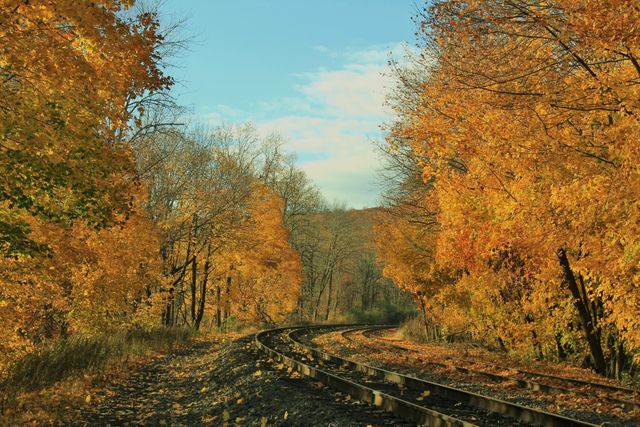 Railway Tracks Winding Through Autumn Forest with Golden Foliage - Download Free Stock Photos Pikwizard.com