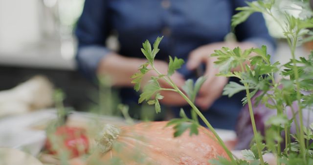 Fresh Herbs with Person Preparing Homemade Vegetable Dish - Download Free Stock Images Pikwizard.com