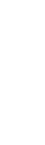 Silhouette of Female Runner Running on Transparent Background