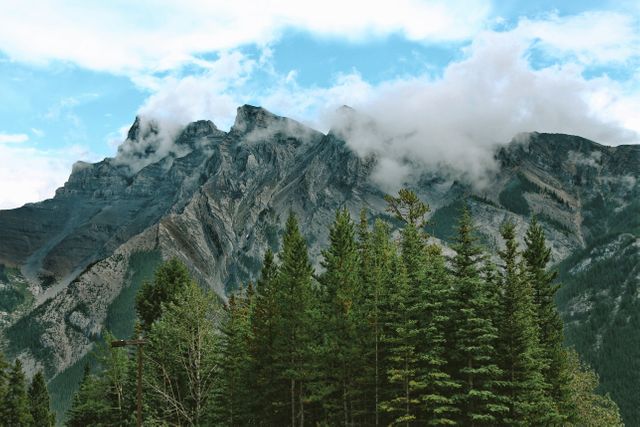 This image showcases towering, cloud-covered mountain peaks above an evergreen forest. Ideal for travel guides, adventure publications, eco-tourism, and nature documentaries. It represents serenity, outdoor exploration, and the untouched beauty of mountainous regions.