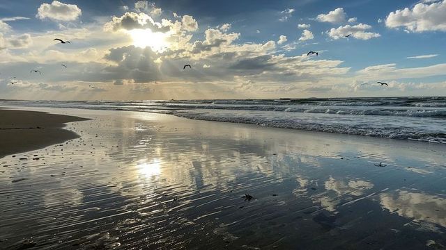 Dramatic Coastal Reflection with Seagulls and Sunset Sky
