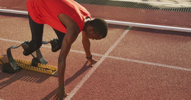 Paralympic Sprinter Preparing for Race on Track - Download Free Stock Images Pikwizard.com