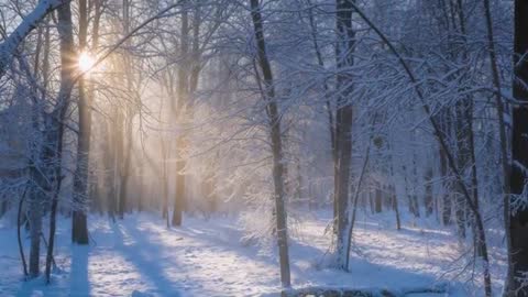 Sunlight Streaming Through Snow-Covered Forest at Dawn, Misty Winter Rays Casting Shadows