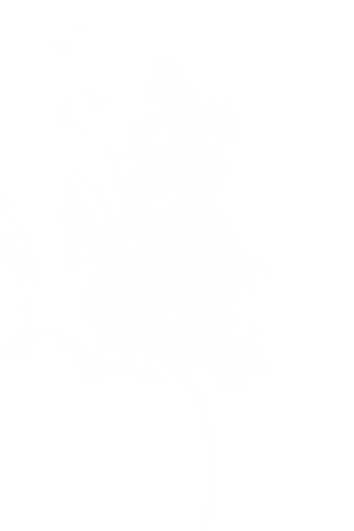 White Abstract Patterns on Transparent Background Patterned Illustration - Download Free Stock Videos Pikwizard.com