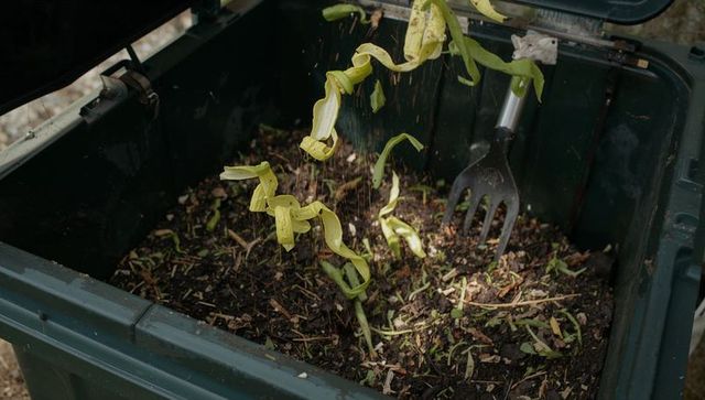 Composting kitchen trimmings in outdoor plastic bin with garden fork for organic recycling