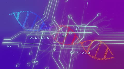 Digital DNA and Innovative Data Connections